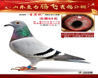 鱼台腾飞64名