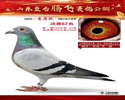 鱼台腾飞67名
