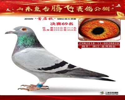 鱼台腾飞69名