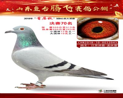 鱼台腾飞70名