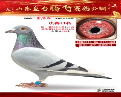 鱼台腾飞71名