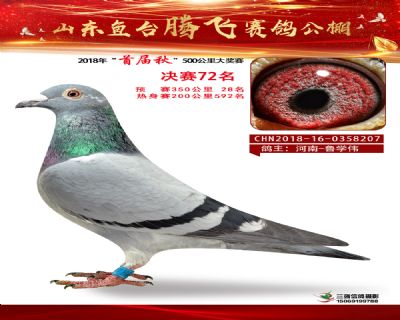 鱼台腾飞72名