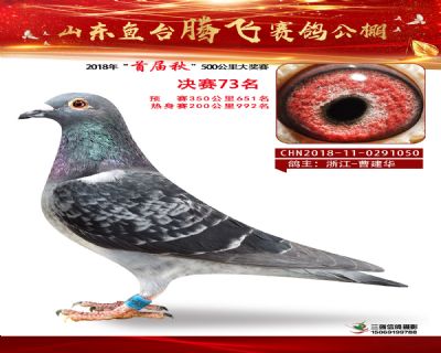 鱼台腾飞73名