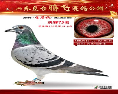 鱼台腾飞75名