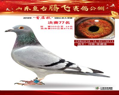鱼台腾飞77名
