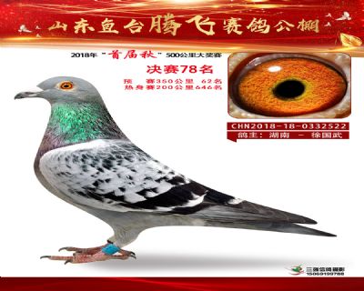 鱼台腾飞78名
