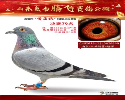 鱼台腾飞79名
