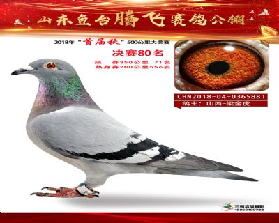 鱼台腾飞80名