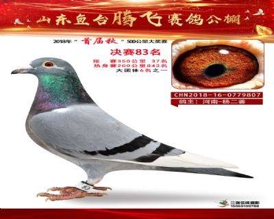 鱼台腾飞83名