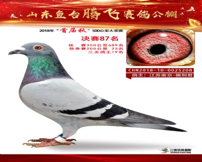 鱼台腾飞87名