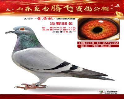 鱼台腾飞88名