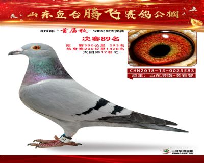 鱼台腾飞89名