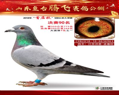 鱼台腾飞90名