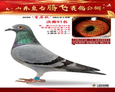 鱼台腾飞91名