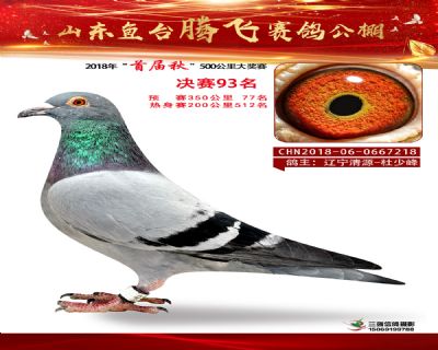 鱼台腾飞93名