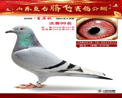 鱼台腾飞99名
