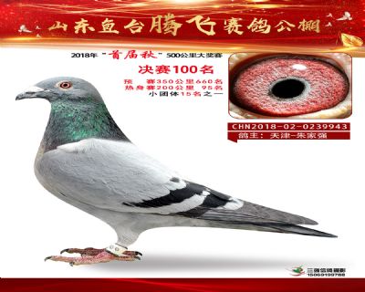 鱼台腾飞100名