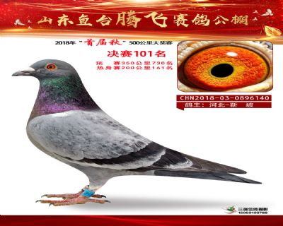 鱼台腾飞101名