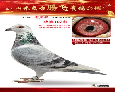 鱼台腾飞102名
