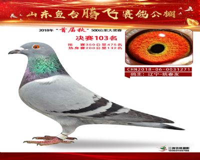 鱼台腾飞103名