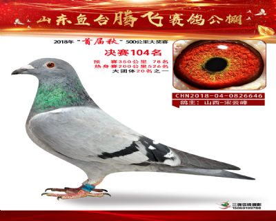 鱼台腾飞104名