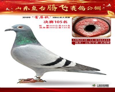 鱼台腾飞105名