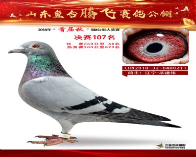 鱼台腾飞107名
