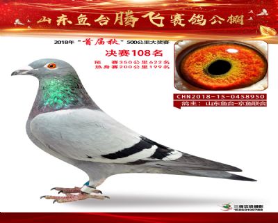 鱼台腾飞108名