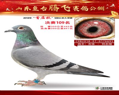 鱼台腾飞109名