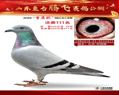 鱼台腾飞111名