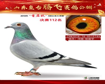 鱼台腾飞112名