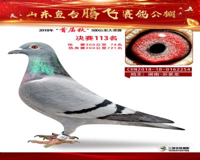 鱼台腾飞113名