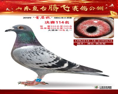 鱼台腾飞114名