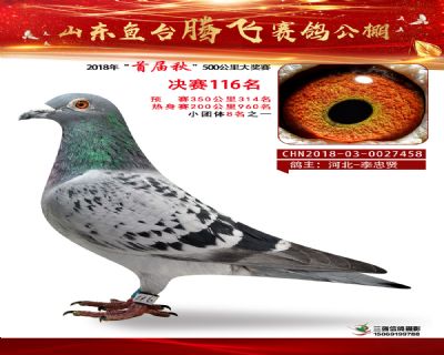 鱼台腾飞116名