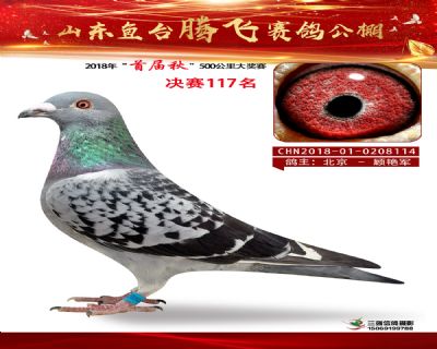 鱼台腾飞117名