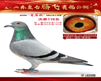 鱼台腾飞118名