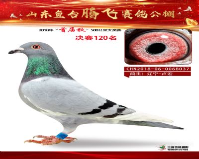 鱼台腾飞120名