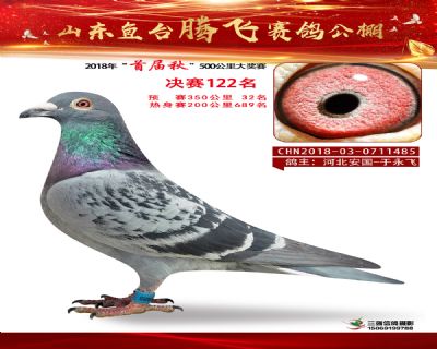 鱼台腾飞122名