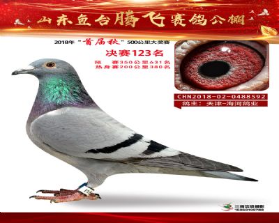 鱼台腾飞123