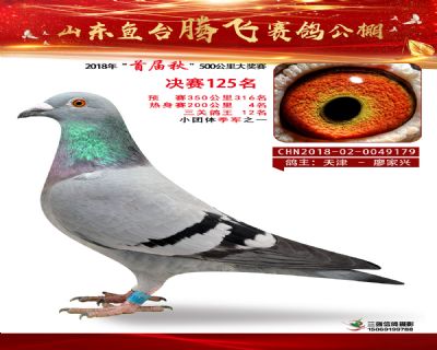 鱼台腾飞125名