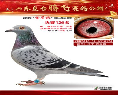 鱼台腾飞126名