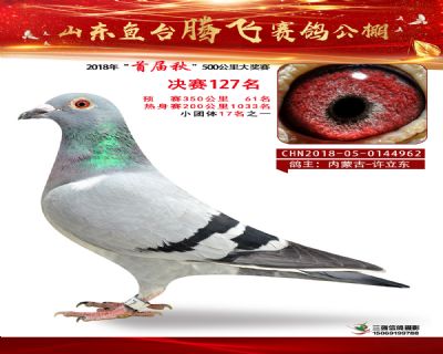 鱼台腾飞127名