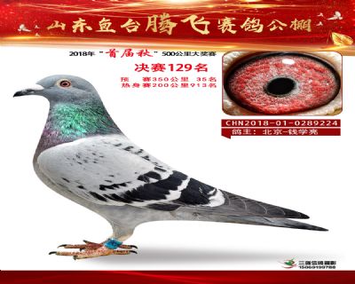 鱼台腾飞129名