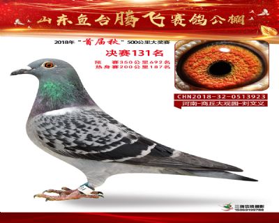 鱼台腾飞131名