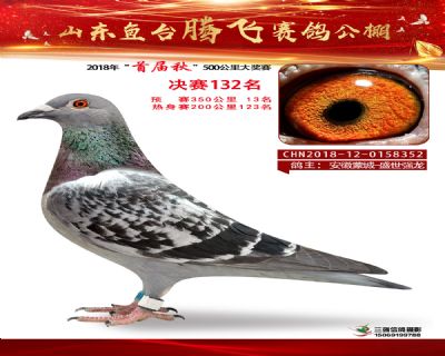鱼台腾飞132名