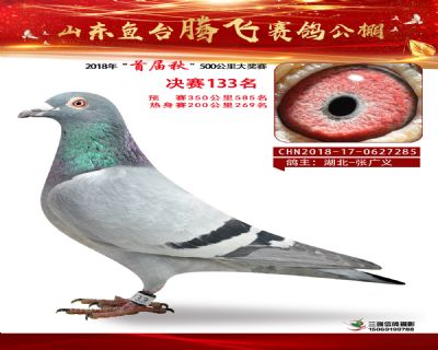 鱼台腾飞133名