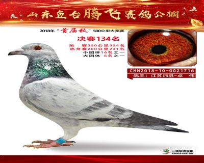 鱼台腾飞134名