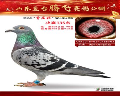 鱼台腾飞135名