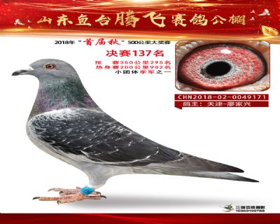 鱼台腾飞137名