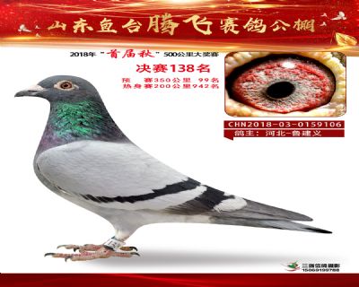 鱼台腾飞138名